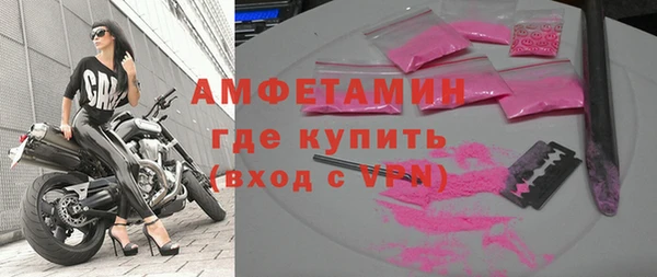 амф Гусь-Хрустальный