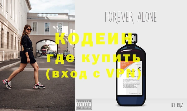 амф Гусь-Хрустальный