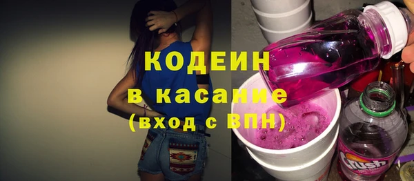 амф Гусь-Хрустальный