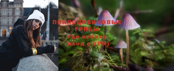 jwh Гусиноозёрск