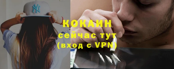 бошки Гусев