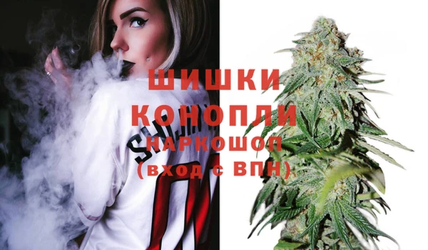 бошки Гусев