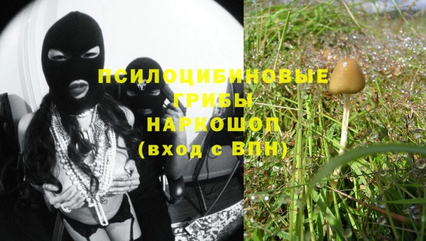 jwh Гусиноозёрск