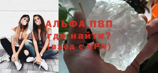 амф Гусь-Хрустальный