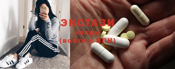 амф Гусь-Хрустальный